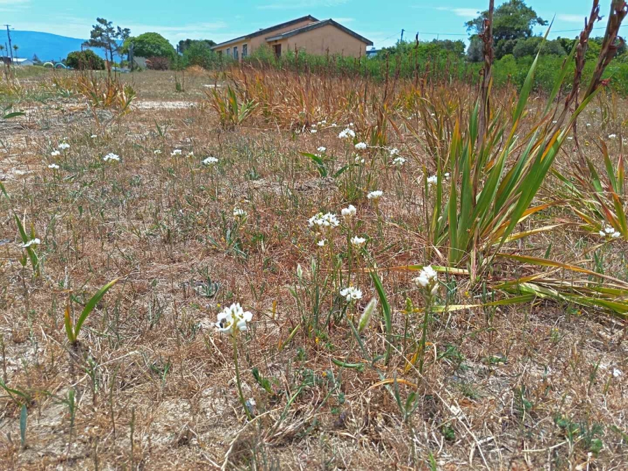 0 Bedroom Property for Sale in Fisherhaven Western Cape